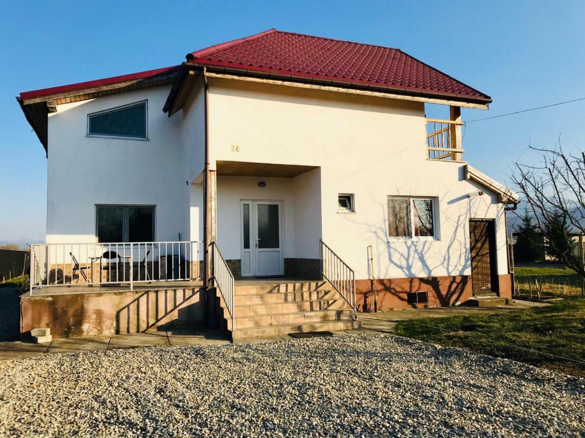 Vila Ekooos Brașov Exterior foto