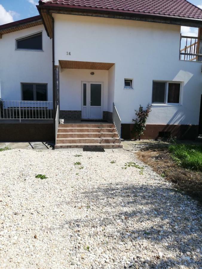 Vila Ekooos Brașov Exterior foto